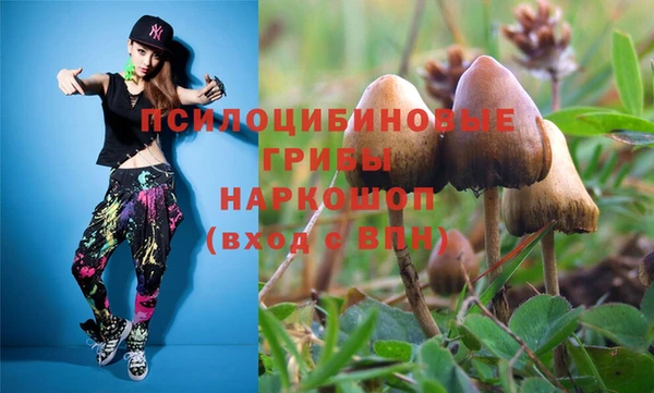 дживик Беломорск