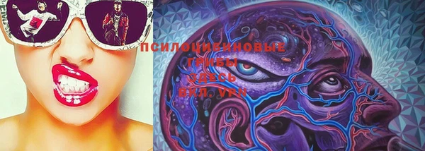 молекула духа Балахна